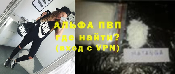 гашик Алексеевка