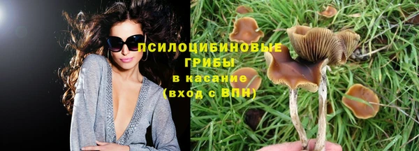 мескалин Алексин