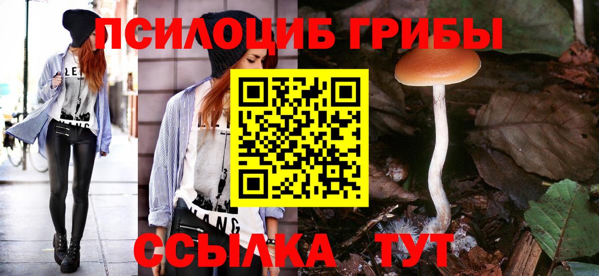 Псилоцибиновые грибы Magic Shrooms Мирный