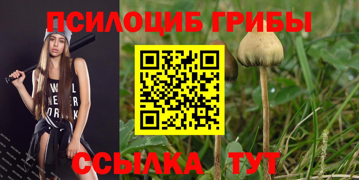 Галлюциногенные грибы мицелий  Вход с VPN  Мирный 