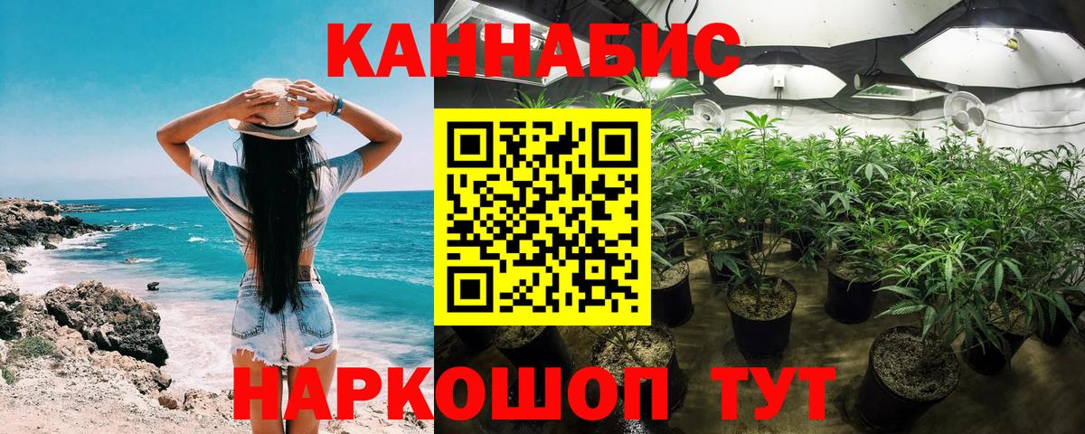 Бошки марихуана сатива Мирный
